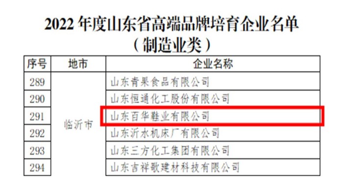 喜報(bào)|百華鞋業(yè)成功入選2022年度山東省高端品牌培育企業(yè)名單