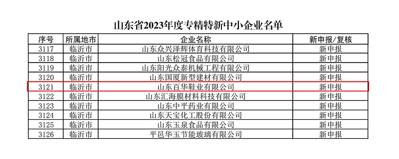 熱烈祝賀百華鞋業(yè)通過山東省專精特新企業(yè)認(rèn)定！